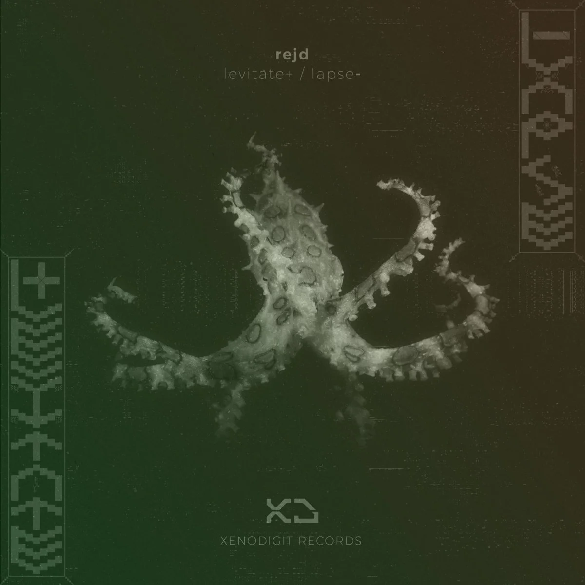levitate+/lapse- cover artwork